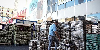 Yumurta fiyatlarındaki sezonluk indirim son buldu, fiyatlar eski seviyeye döndü